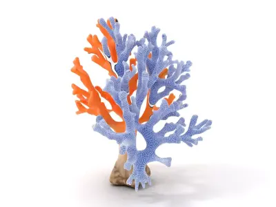 Orange Coral Sculpture model pack Low-poly 3D model