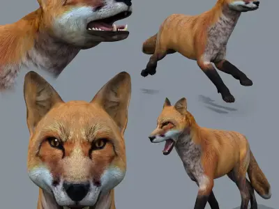 My Fox - 3d animated fox model 3D model