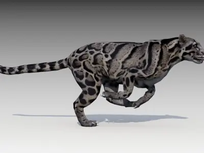 Clouded Leopard Low-poly 3D model