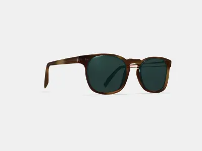 Elio Sunglasses in Black Walnut 3D model