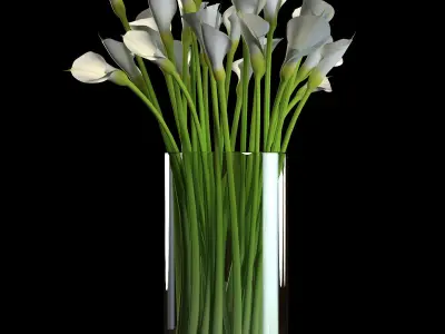 Callas calla lilies in vase 3D model