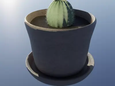 Cactus 3D model purchase