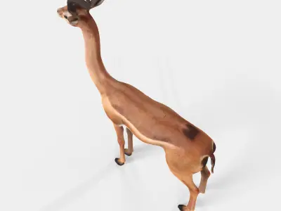 Gerenuk Antelope Low-poly 3D model
