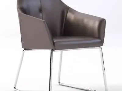 Easy Chair Ds-279-51 By De Sede 3D model