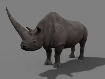 3D Wooly Elasmotherium Rhino 3D model