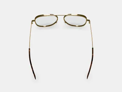 Sade Eyeglasses in Polished Gold 3D model