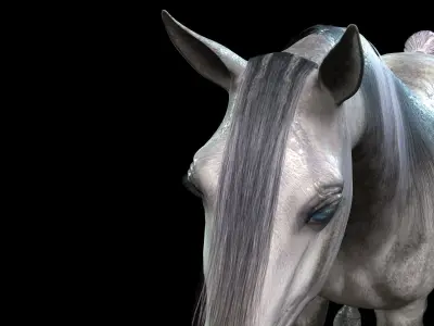 ARABIAN HORSE PUREBLOOD WILD WORLD PONY 1 Low-poly 3D model