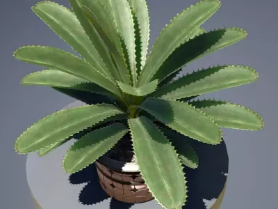 plant in pot Low-poly 3D model