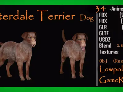 Patterdale Terrier Dog Low-poly 3D model