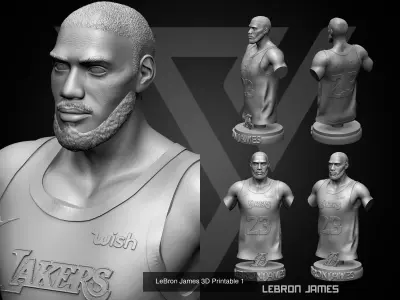 Lebron James 3D printable collection
