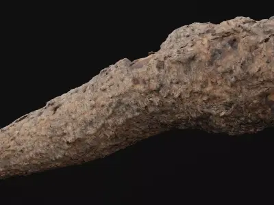 Pine Wood Debris Low-poly 3D model