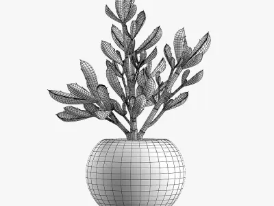 Pot Plant 14 3D model