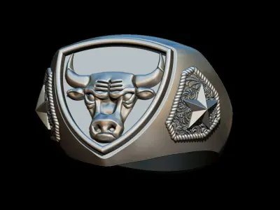 Chicago bulls ring 3D print model