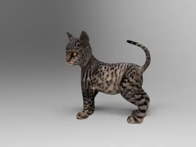 Black 3d Cat rigged and animated  Low-poly 3D model