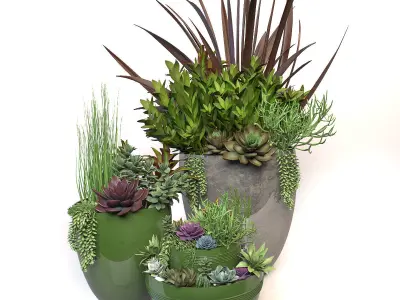 Plants 3 planter with succulents in it 3D model