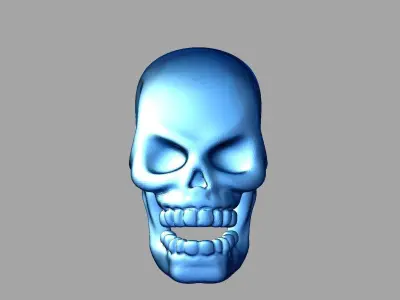 Skull 3D print model