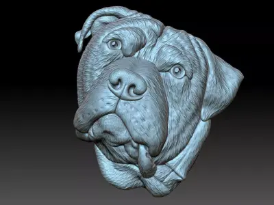 Dog head 3D print model