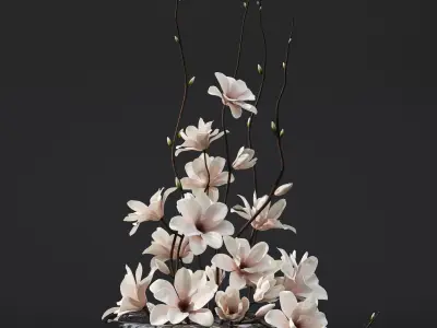Magnolia arrangement 3D model