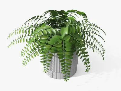 Plant Boho - Fern Low-poly 3D model