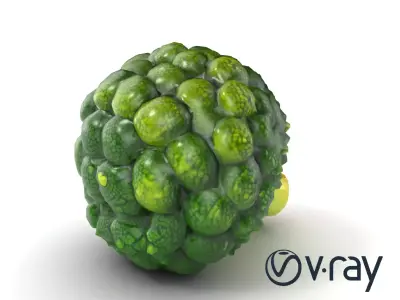Detailed Green Broccoli Model Pack Low-poly 3D model