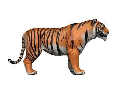 Tiger Low-poly 3D model 8