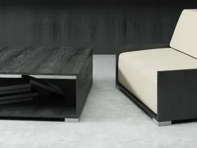 Decorative Set modern living room with furniture and bookshelves 3D model