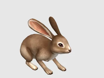 hare rabbit bunny animation  Low-poly 3D model