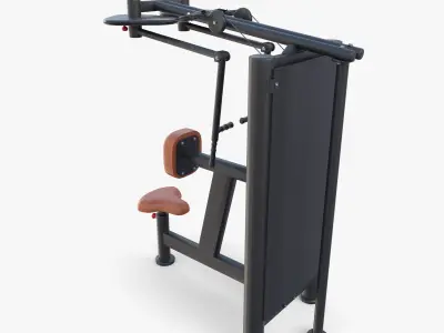 Back swing machine 3D model