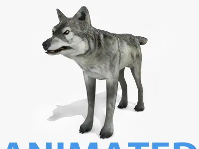 Wolf - Animated Low-poly 3D model