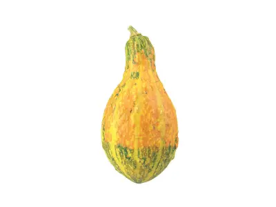 Photorealistic Decorative Gourd 3D Scan 3D model
