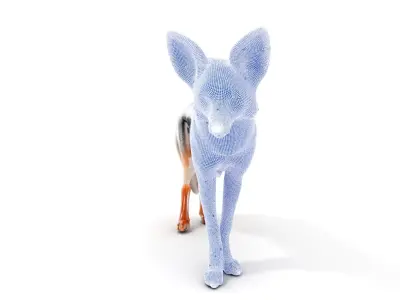 Fox Model Pack  Realistic D Animal Character Low-poly 3D model