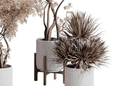 Indoor plant set 423 tree autumn with dried plant 3D model