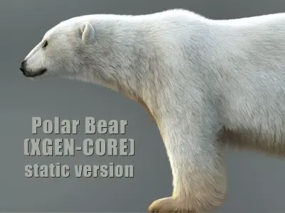 Polar Bear XGEN CORE 3D model