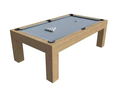 PAULA PARSONS POOL TABLE 3D model