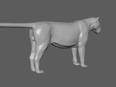 Tiger 3D model