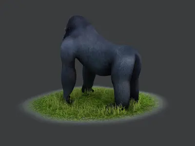 Bush chimpanzees silverback gorillas humanoids 3D model
