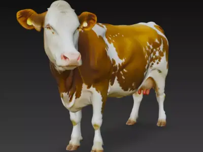 Guernsey Cow 3d Model Low-poly 3D model