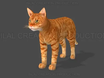 Animated Cat 3D model