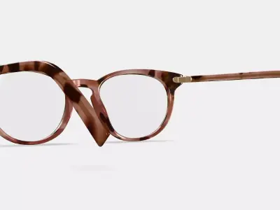 Sadie Eyeglasses in Sesame Tortoise with Polished Gold 3D model