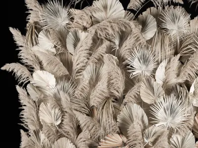 Vertical garden wall made of dry palm branches and pampas grass 3D model