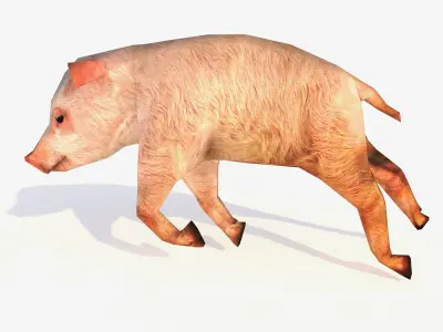 Low-Poly Pig Male Rigged 3D model Low-poly 3D model
