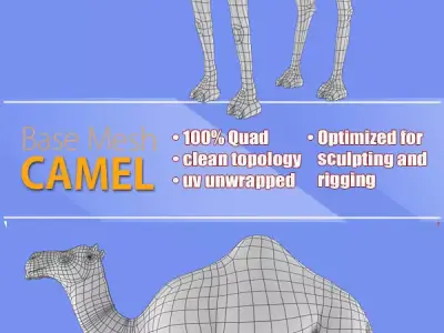 Camel Base Mash Low-poly 3D model