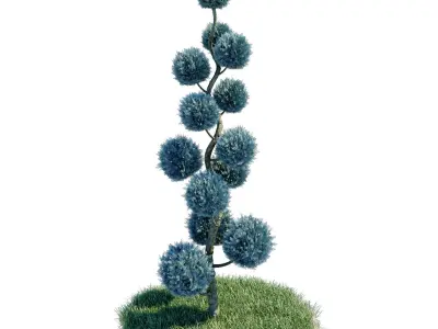 Cypress - Cupressus Arizonica Spiral Pom Pom 3D model