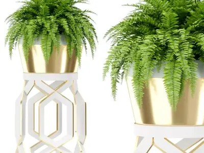 Plants collection 413 3D model