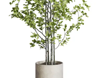 branch Tree in a concrete dirty vase set indoor plant 392 Low-poly 3D model