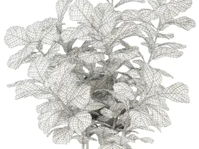 Plants collection 98 3D model