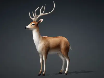 Deer-C1 3D model