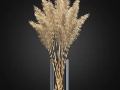 Decorative Pampas 3D model