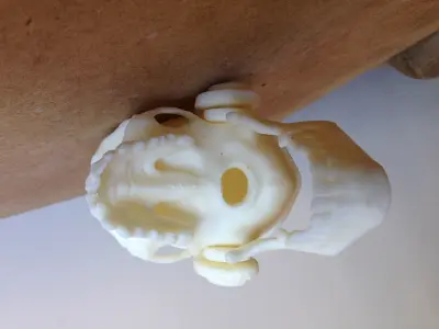 Skull with headphones and headband Free 3D print model