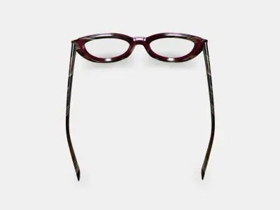 Camila Eyeglasses in Oxblood with Striped Elm 3D model